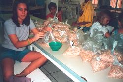 Bagging up beans